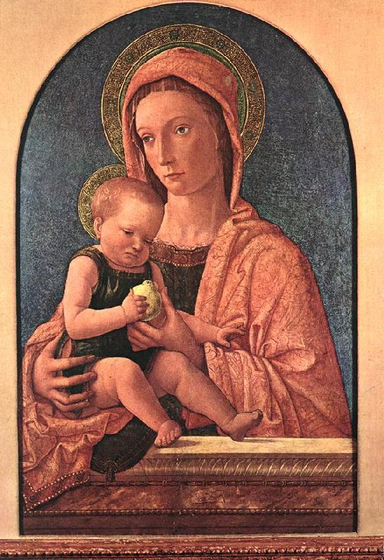 BELLINI, Giovanni Madonna and Child du7 oil painting picture